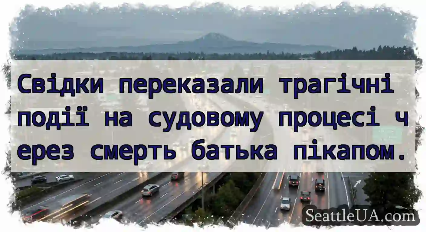 Свідки переказали трагічні події на судовому