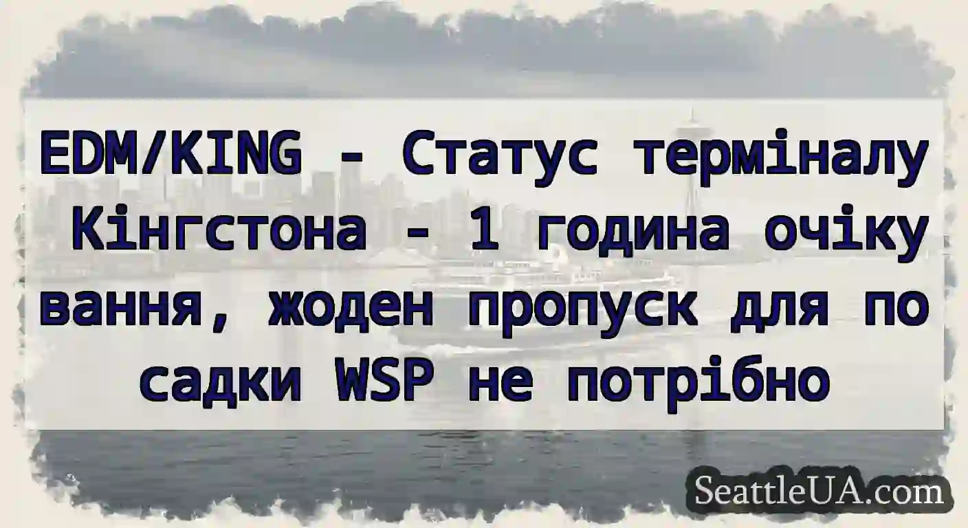 EDM/KING - Статус терміналу Кінгстона - 1 година