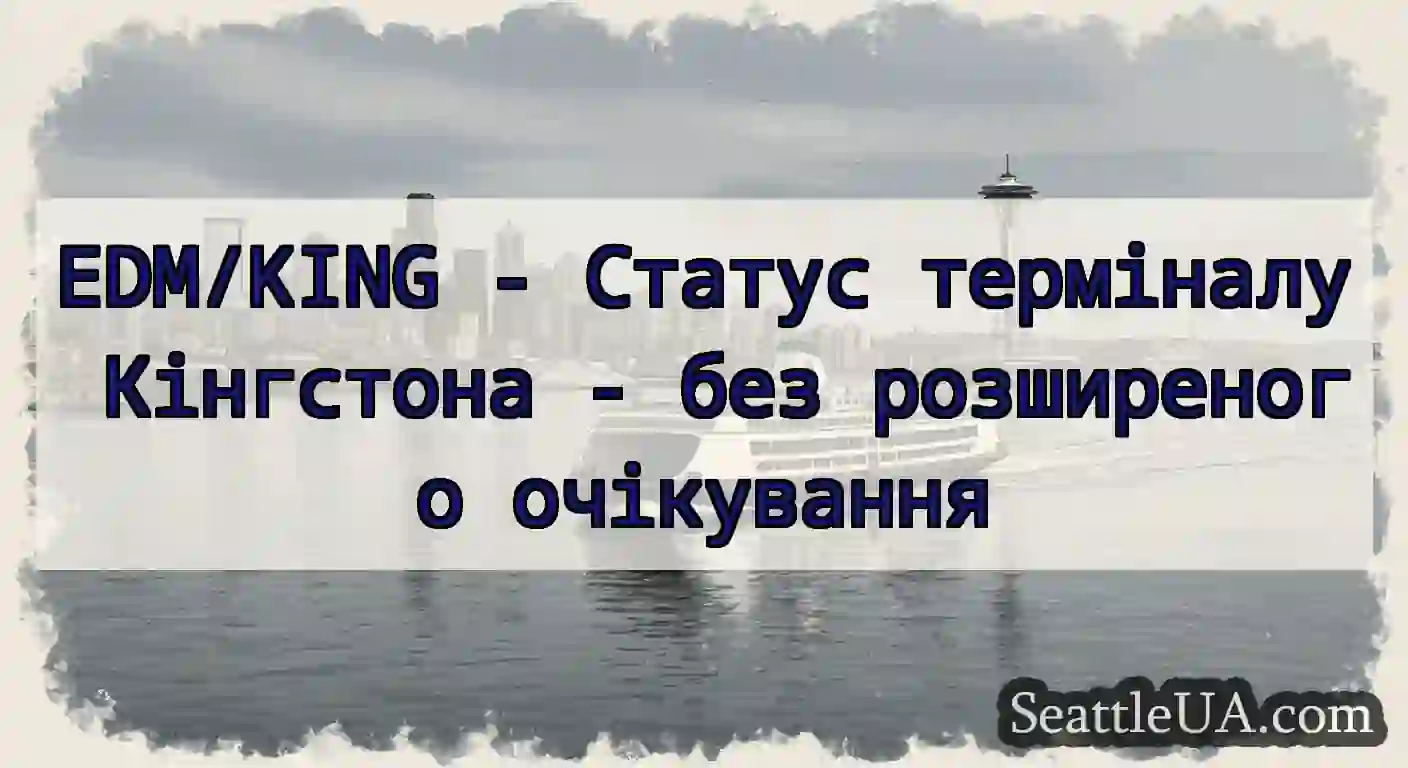 EDM/KING - Статус терміналу Кінгстона - без