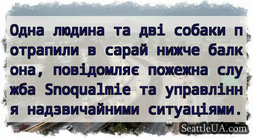Одна людина та дві собаки потрапили в сарай нижче
