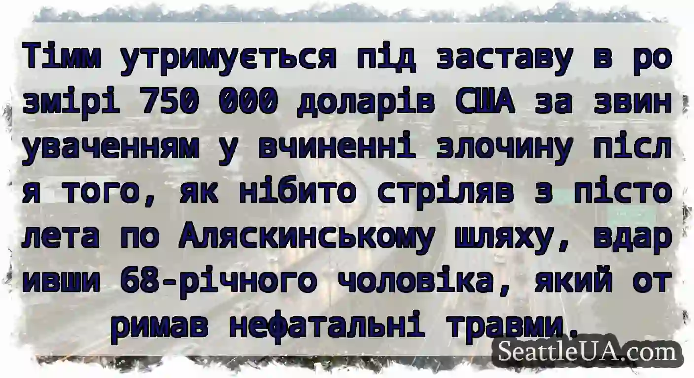 Тімм утримується під заставу в розмірі 750 000