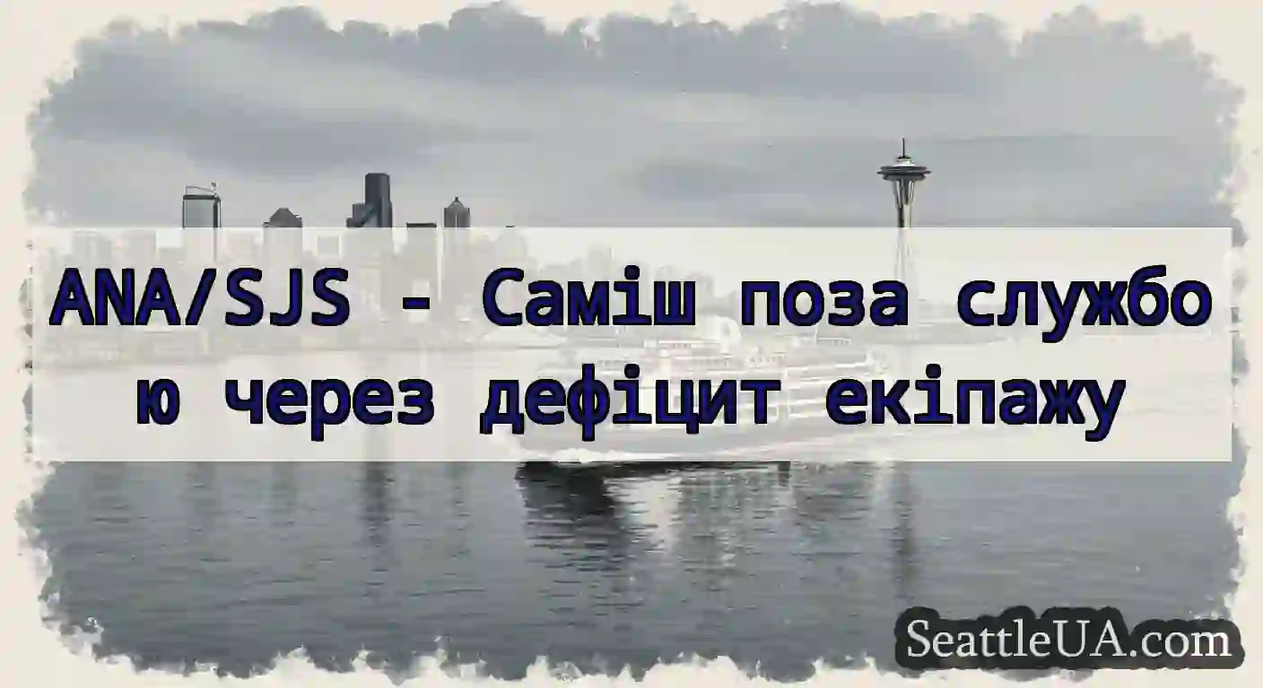 ANA/SJS - Саміш поза службою через дефіцит
