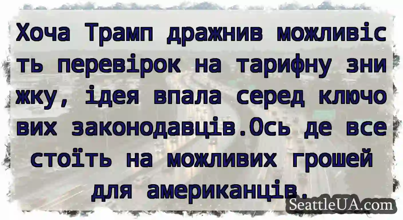 Хоча Трамп дражнив можливість перевірок на
