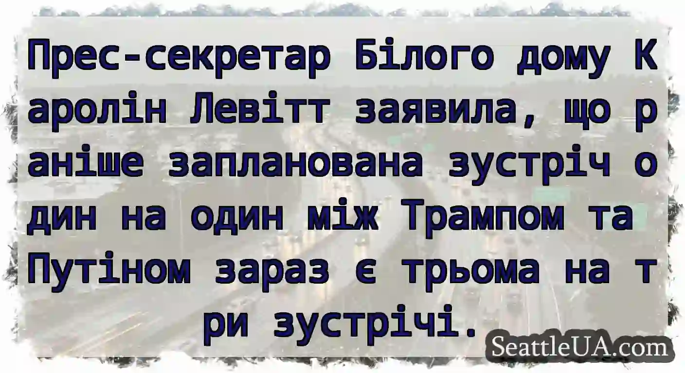 Прес-секретар Білого дому Каролін Левітт заявила,