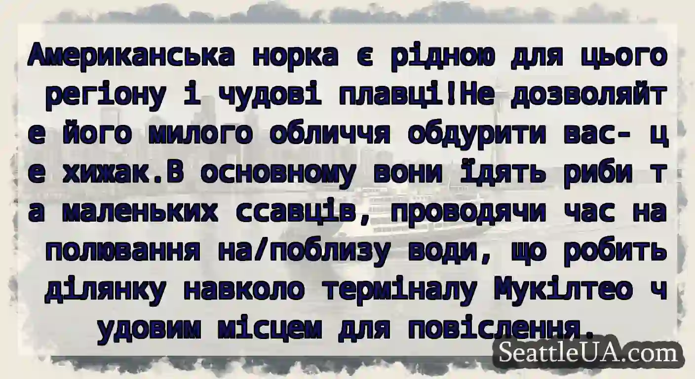 Американська норка є рідною для цього регіону і