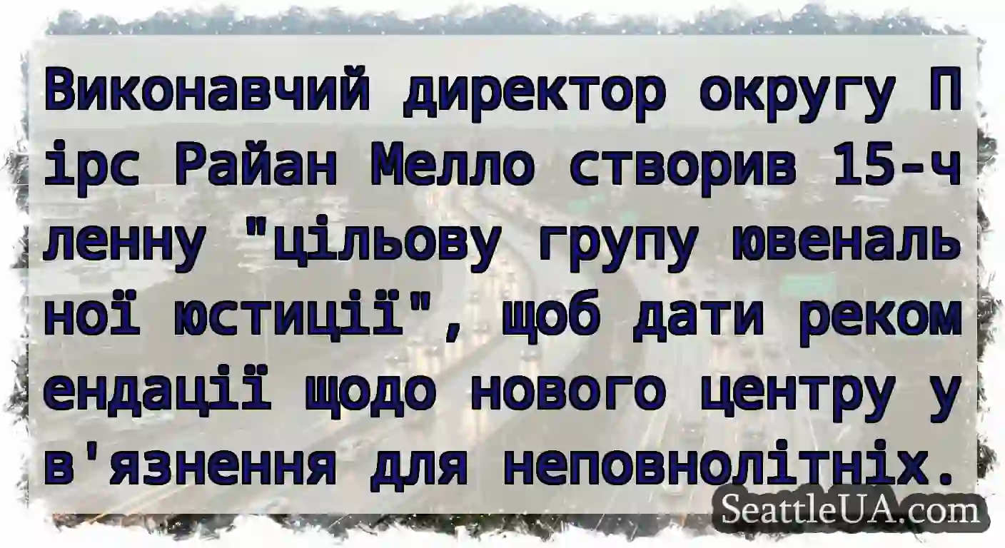 Виконавчий директор округу Пірс Райан Мелло