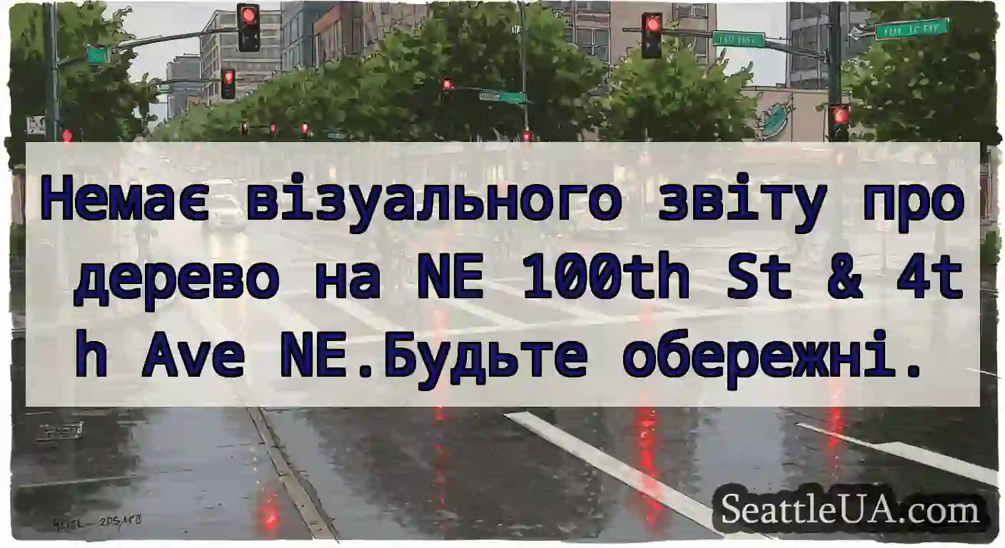 Немає візуального звіту про дерево на NE 100th St