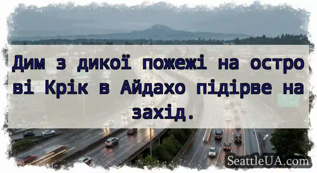 Дим з дикої пожежі на острові Крік в Айдахо
