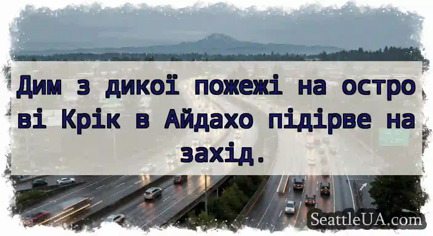 Дим з дикої пожежі на острові Крік в Айдахо