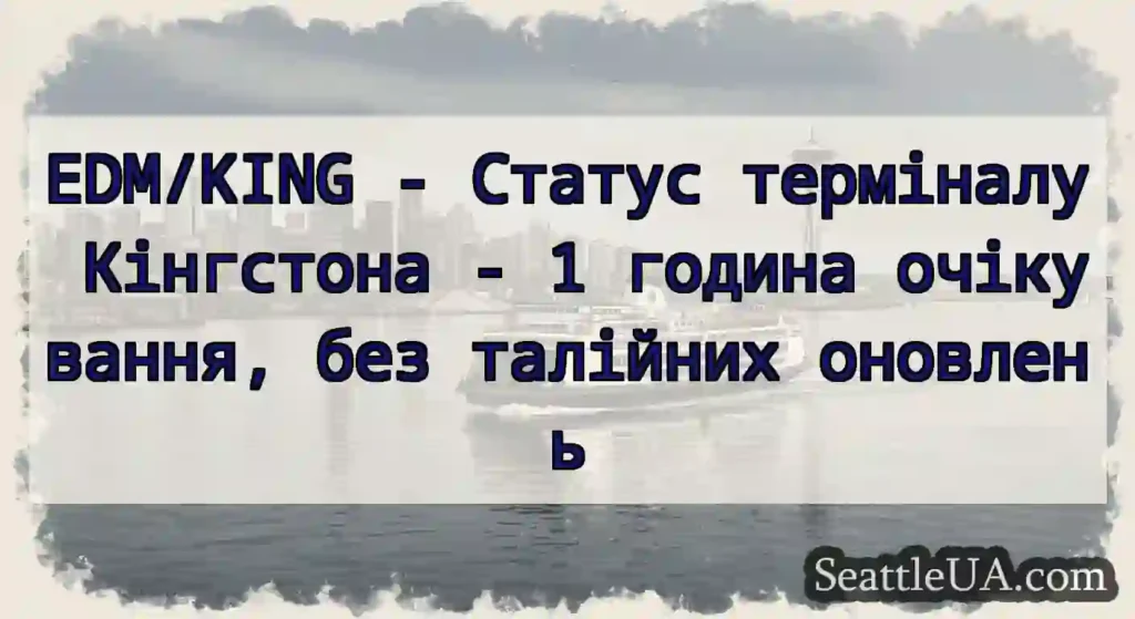 EDM/KING - Статус терміналу Кінгстона - 1 година