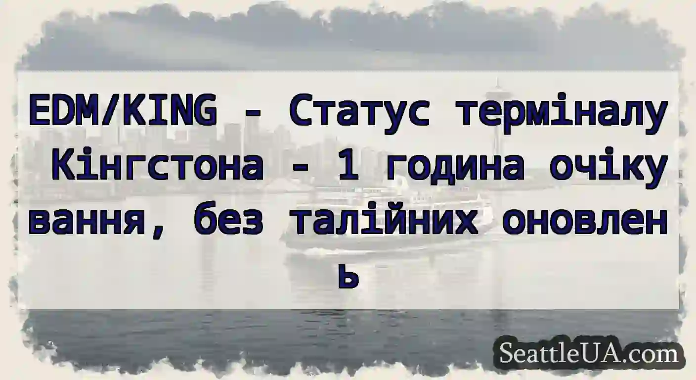 EDM/KING - Статус терміналу Кінгстона - 1 година