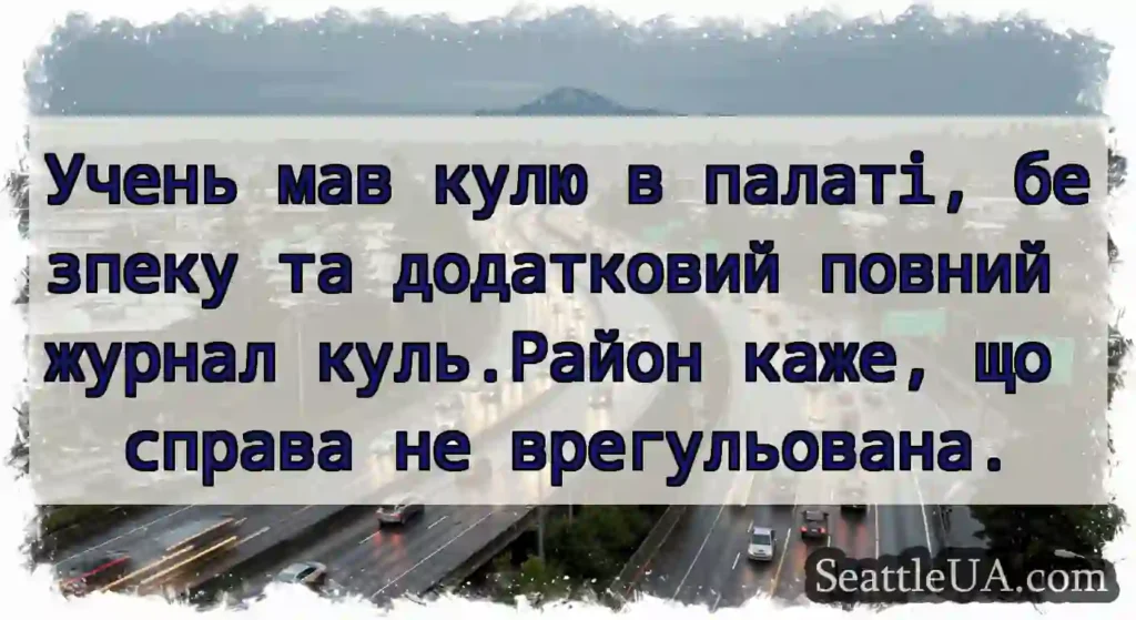 Учень мав кулю в палаті, безпеку та додатковий