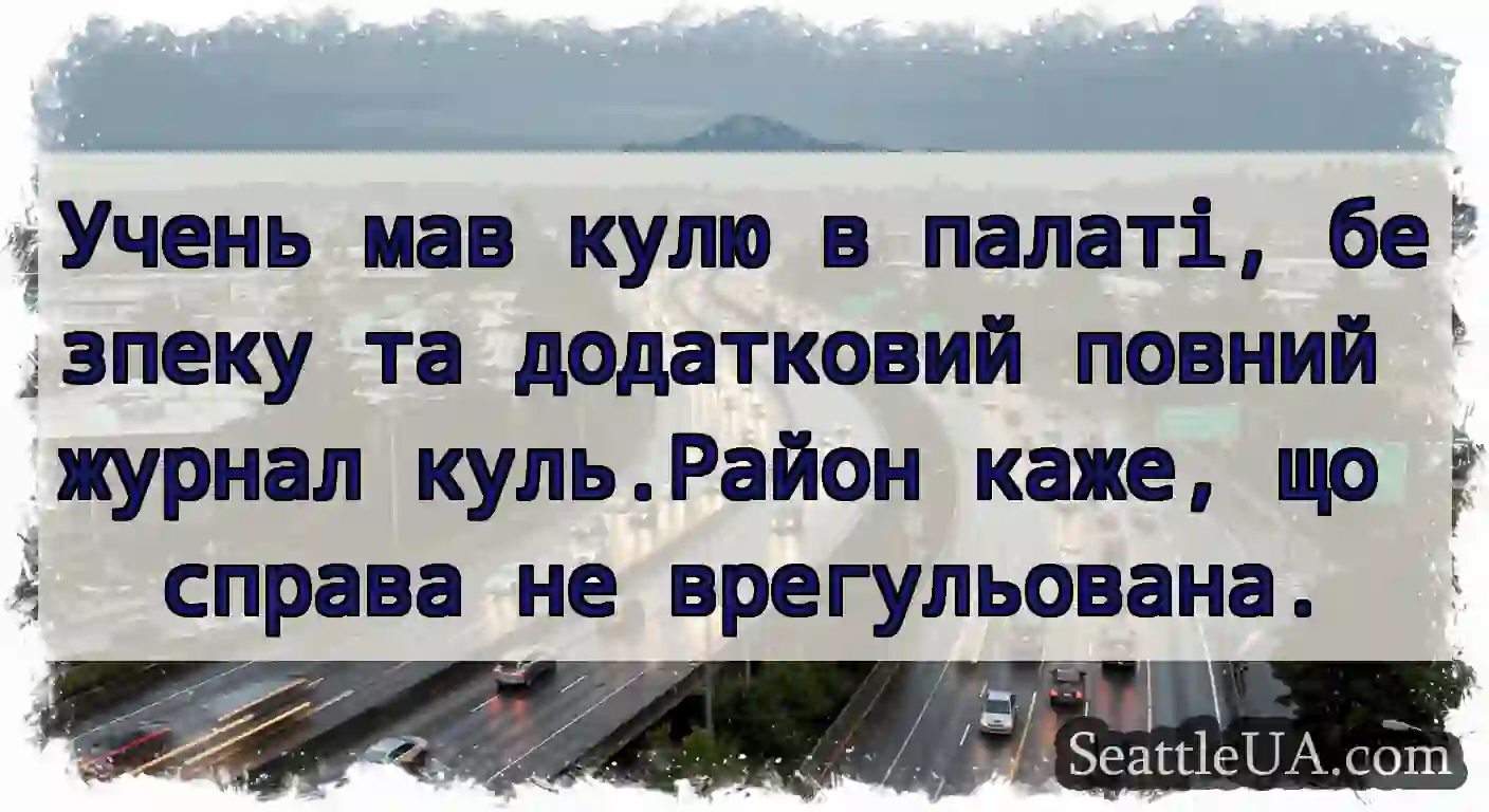 Учень мав кулю в палаті, безпеку та додатковий