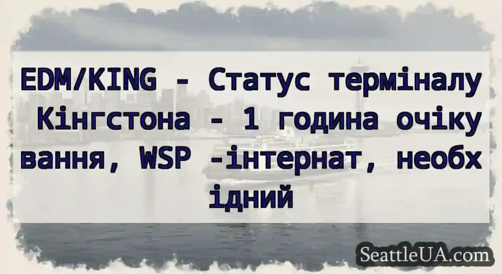 EDM/KING - Статус терміналу Кінгстона - 1 година