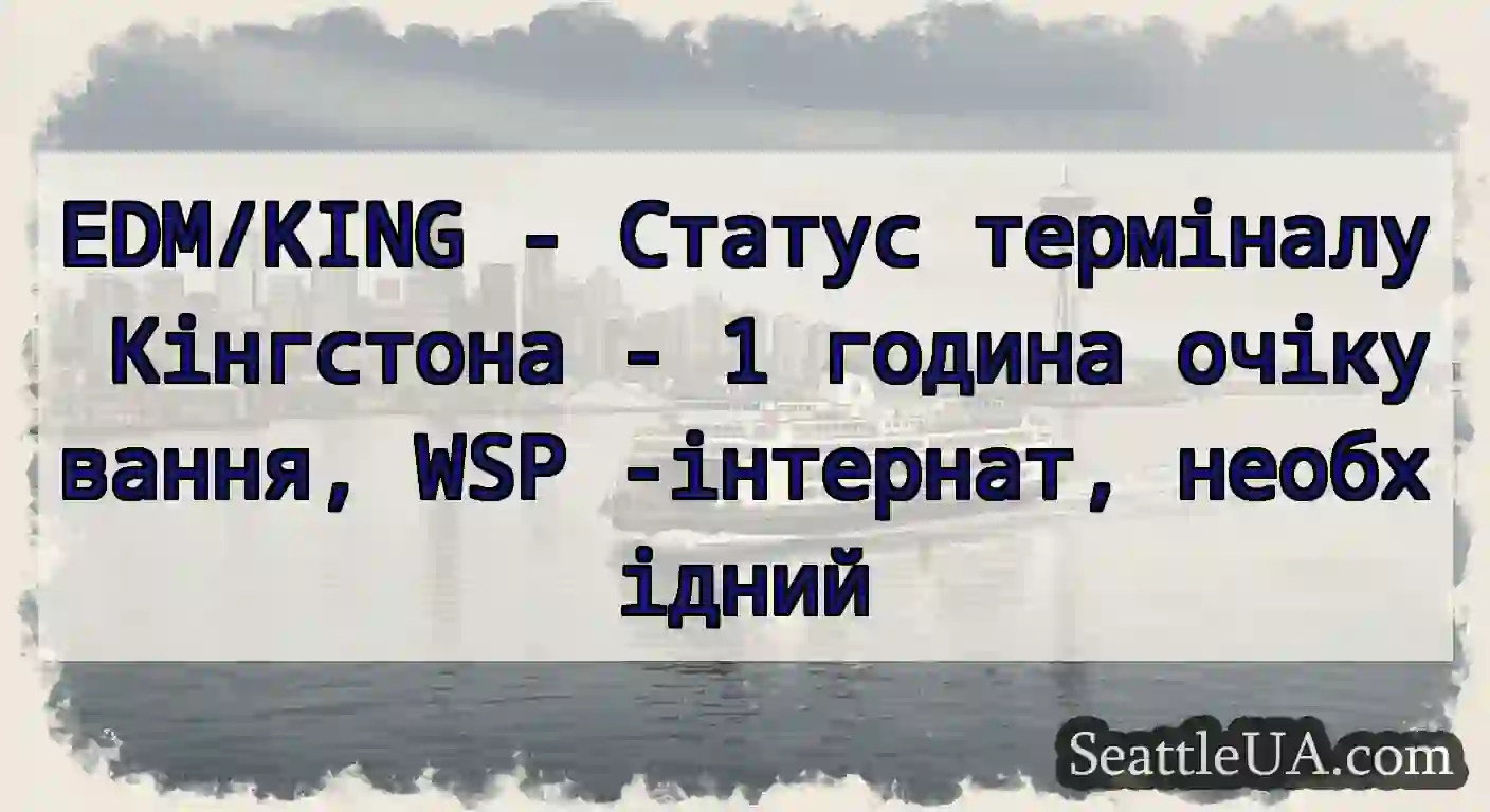 EDM/KING - Статус терміналу Кінгстона - 1 година