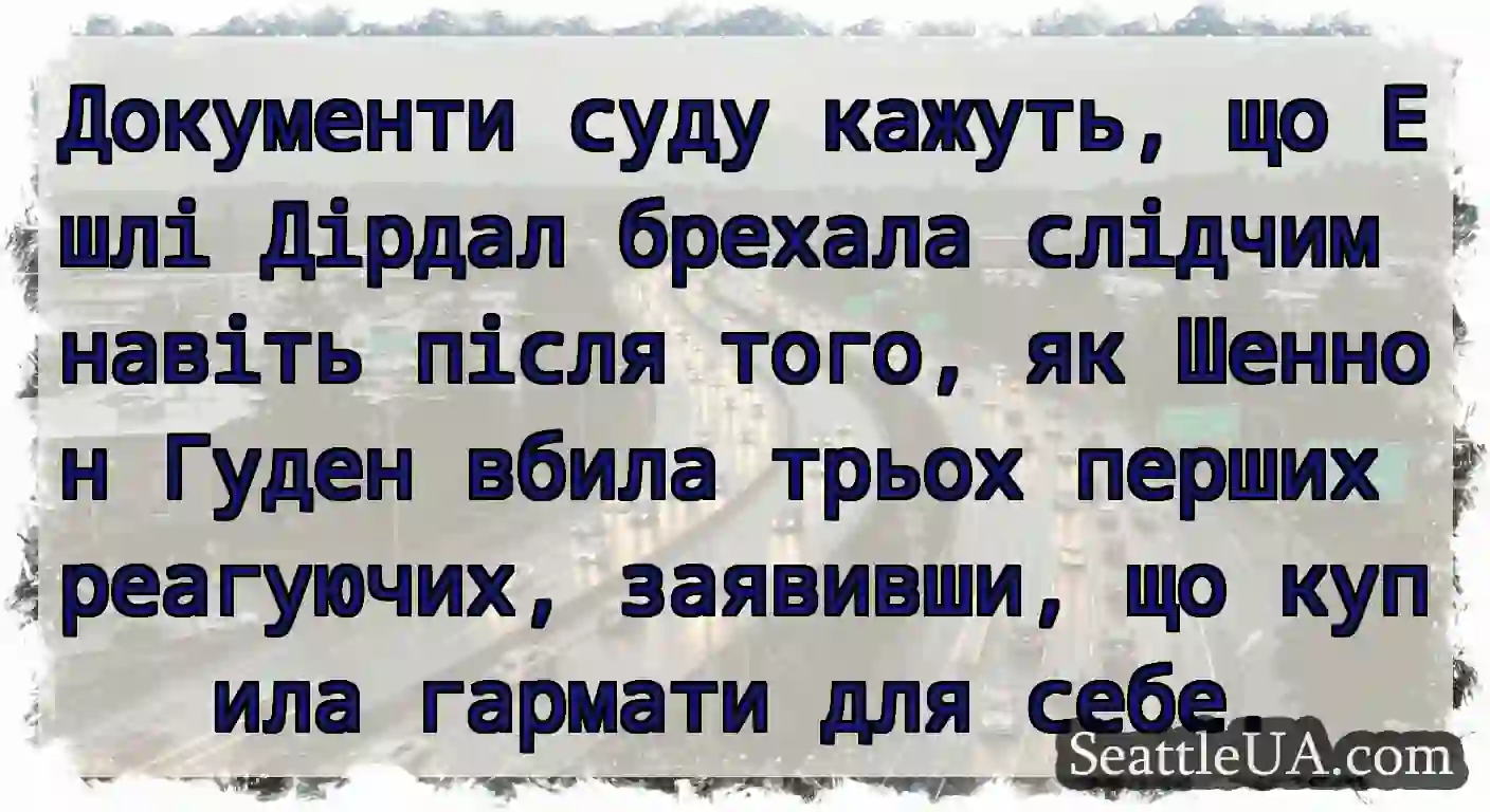Документи суду кажуть, що Ешлі Дірдал брехала