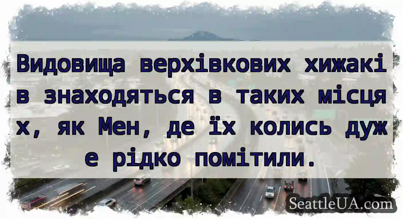 Видовища верхівкових хижаків знаходяться в таких