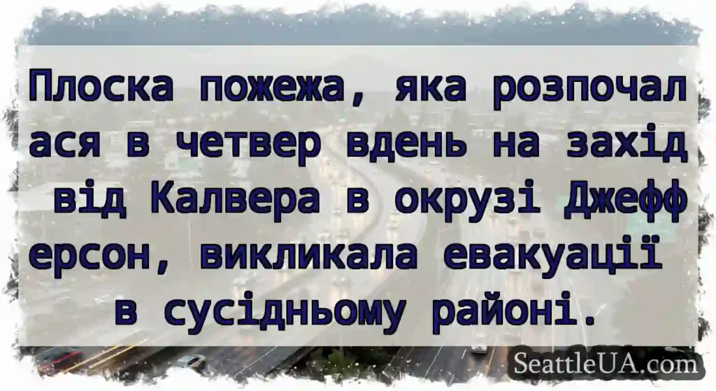 Плоска пожежа, яка розпочалася в четвер вдень на