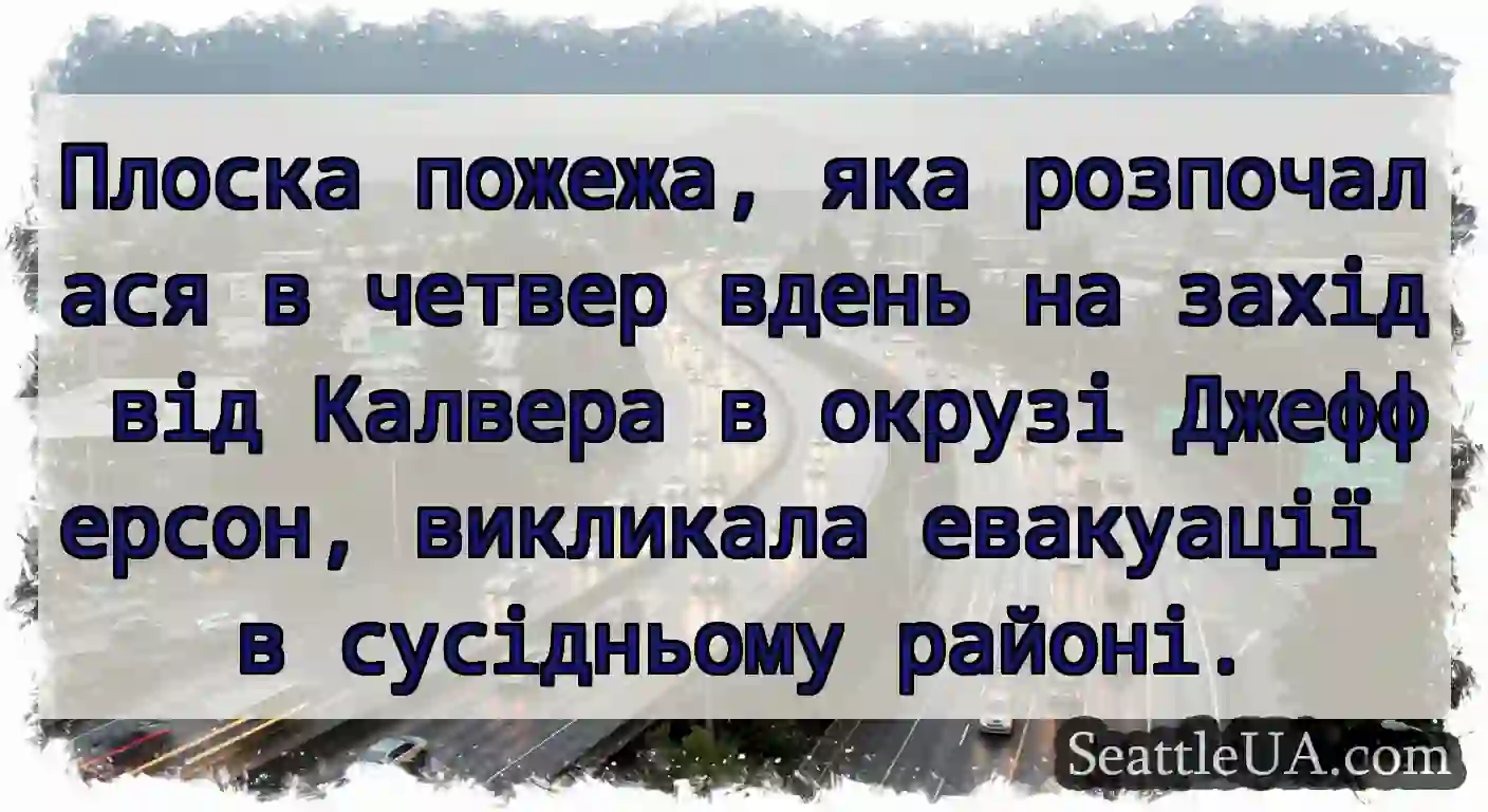 Плоска пожежа, яка розпочалася в четвер вдень на