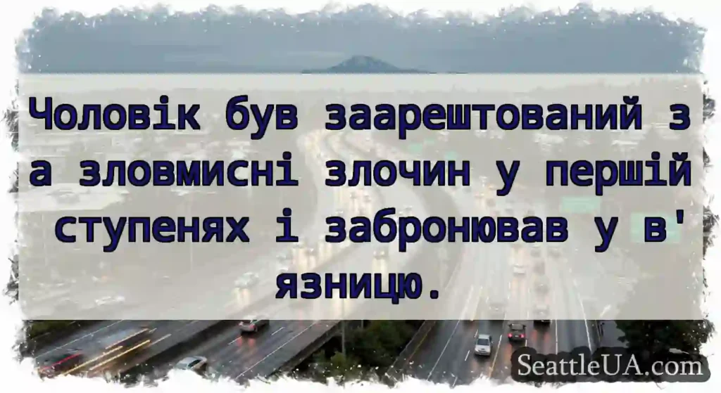 Чоловік був заарештований за зловмисні злочин у