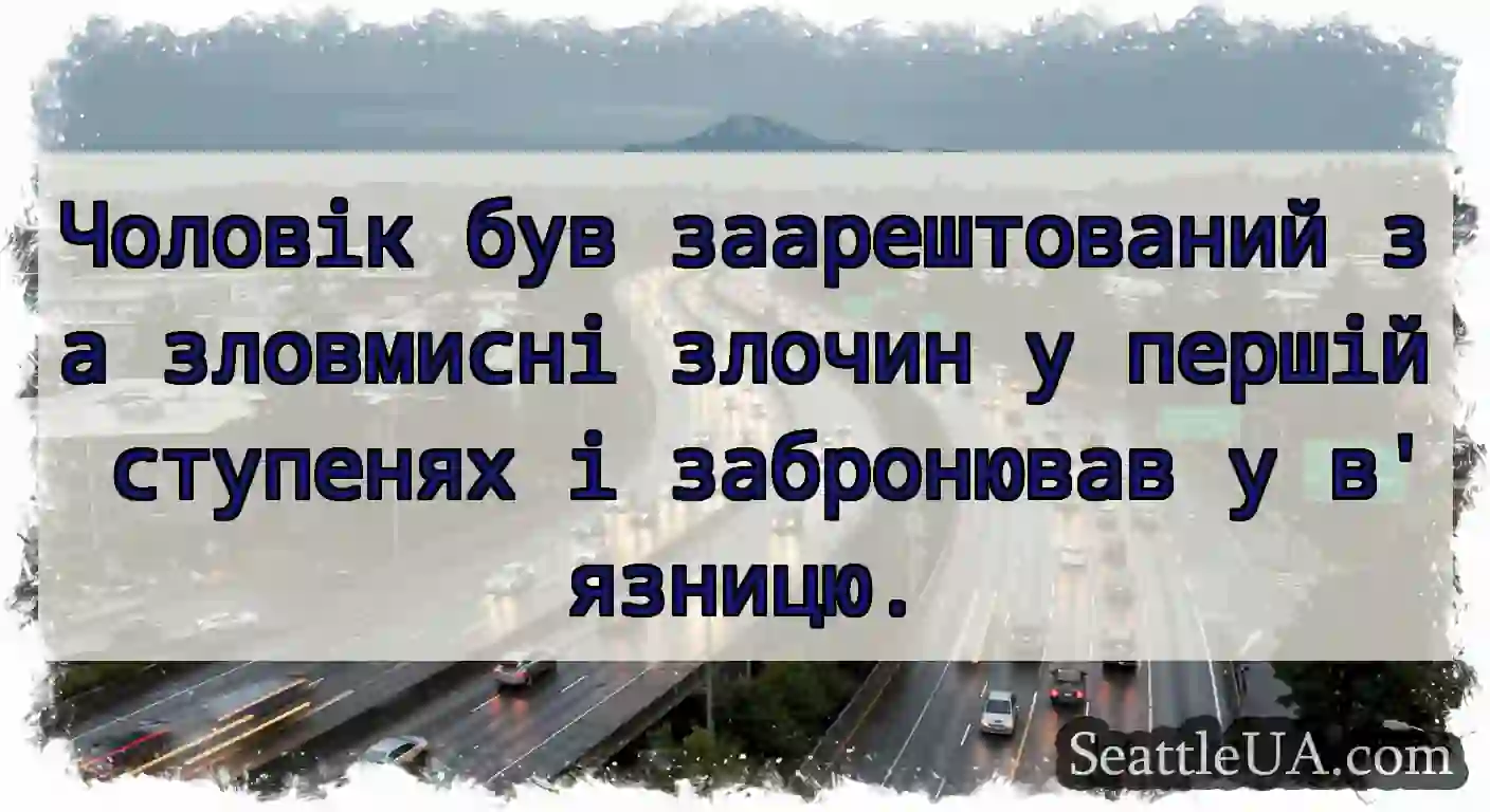 Чоловік був заарештований за зловмисні злочин у