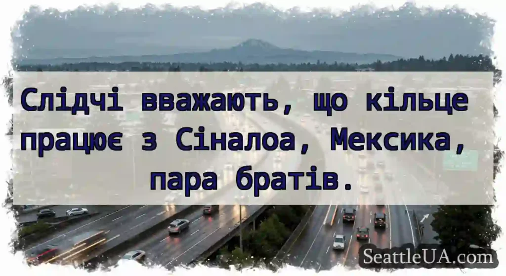 Слідчі вважають, що кільце працює з Сіналоа,