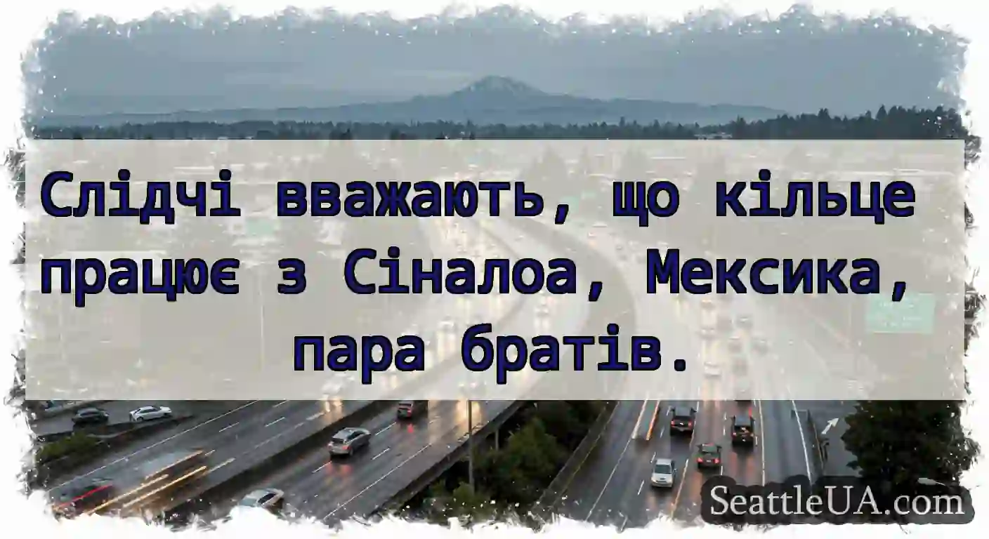 Слідчі вважають, що кільце працює з Сіналоа,