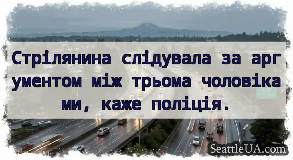 Стрілянина слідувала за аргументом між трьома