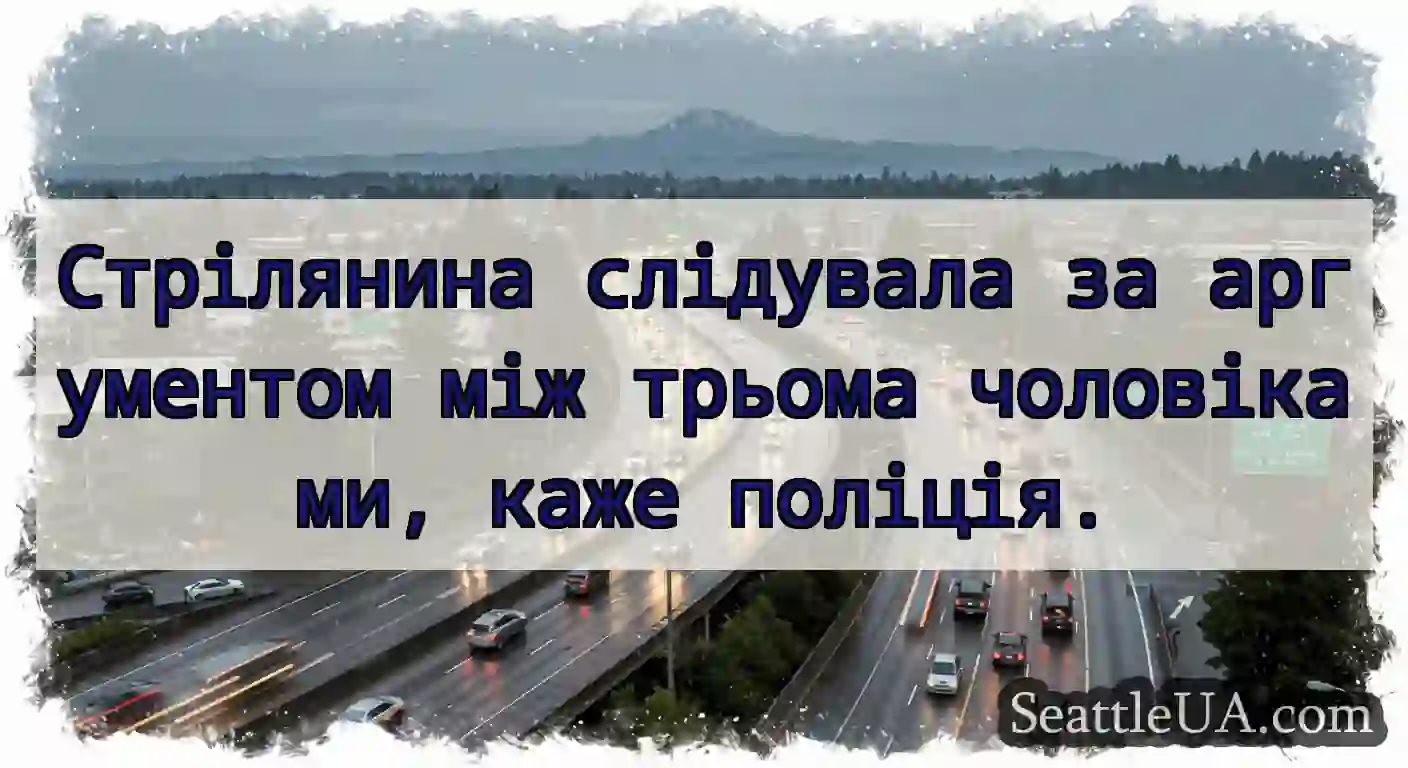Стрілянина слідувала за аргументом між трьома
