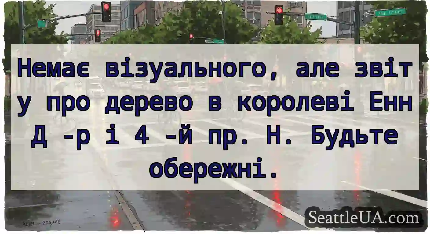 Немає візуального, але звіту про дерево в