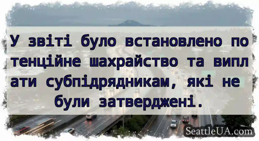 У звіті було встановлено потенційне шахрайство та