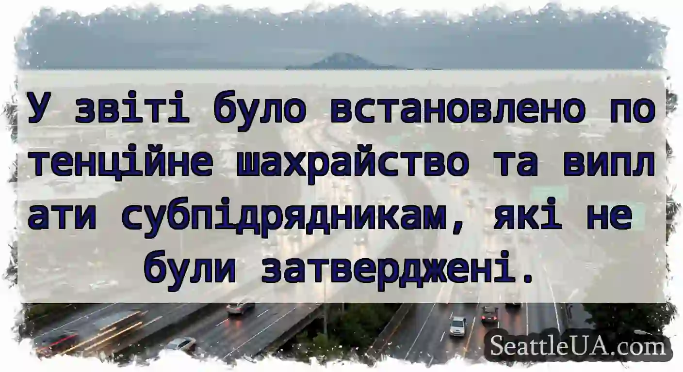 У звіті було встановлено потенційне шахрайство та