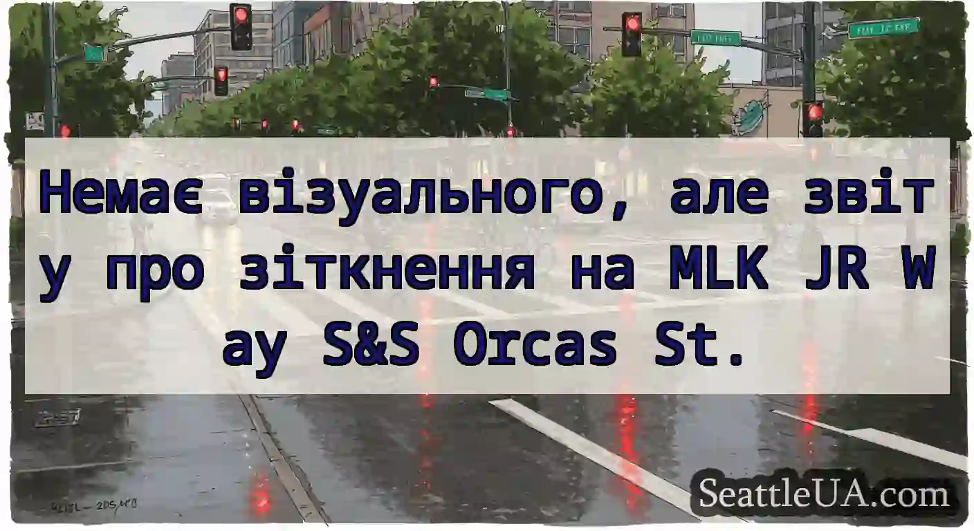 Немає візуального, але звіту про зіткнення на MLK