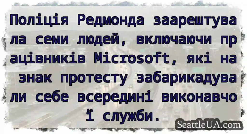 Поліція Редмонда заарештувала семи людей,