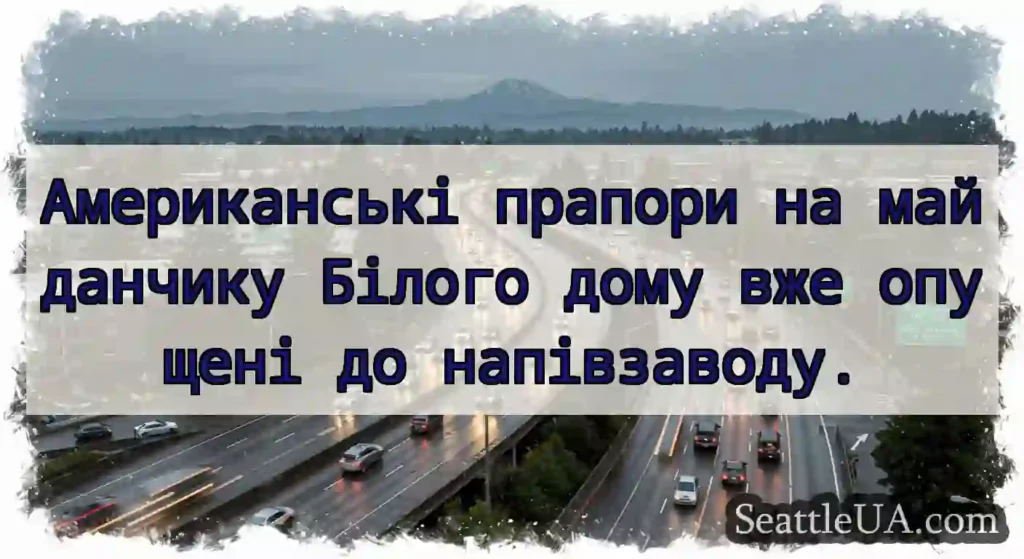 Американські прапори на майданчику Білого дому