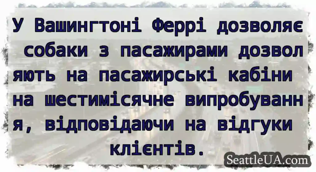 У Вашингтоні Феррі дозволяє собаки з пасажирами