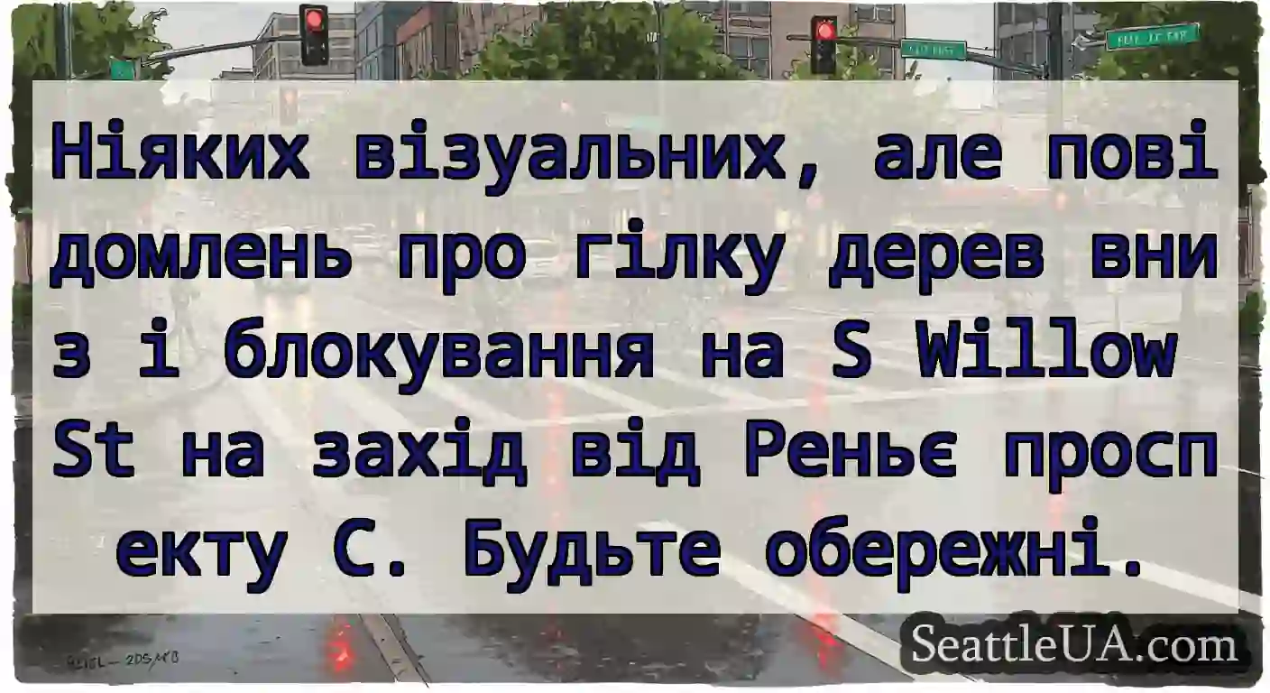 Ніяких візуальних, але повідомлень про гілку