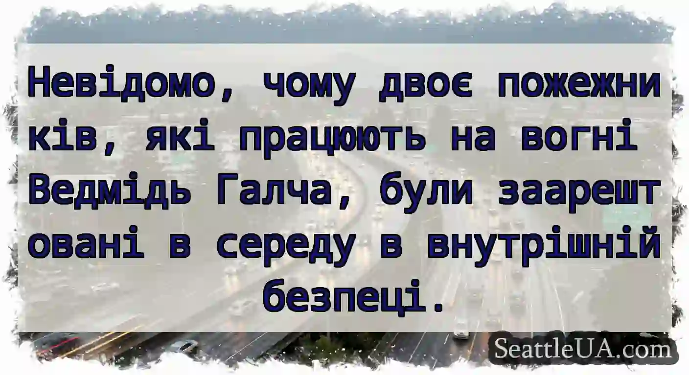 Невідомо, чому двоє пожежників, які працюють на