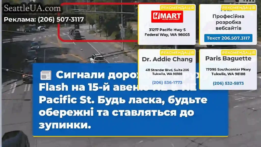 Сигнали дорожнього руху в Flash на 15-й авеню NE
