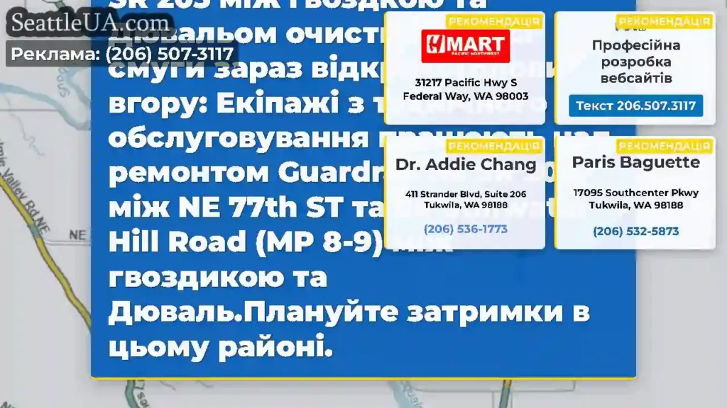 Очищено: Роботи з технічного обслуговування на SR