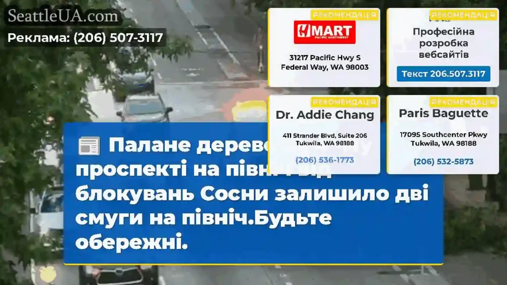 Палане дерево на 4 -му проспекті на північ від