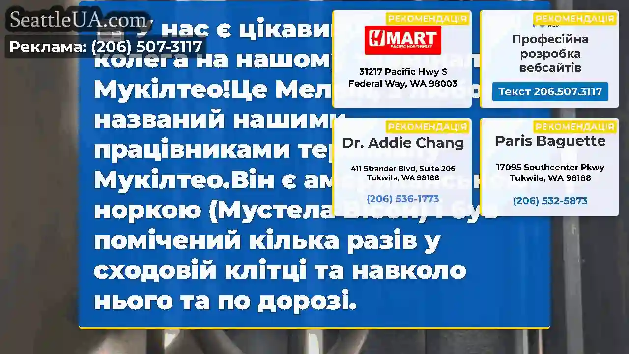 У нас є цікавий новий колега на нашому терміналі