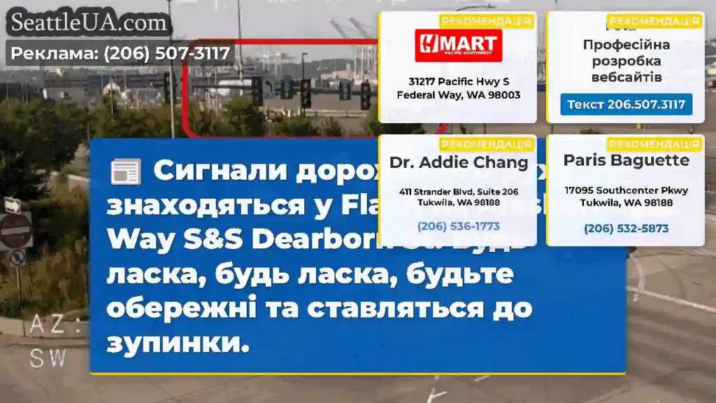 Сигнали дорожнього руху знаходяться у Flash на