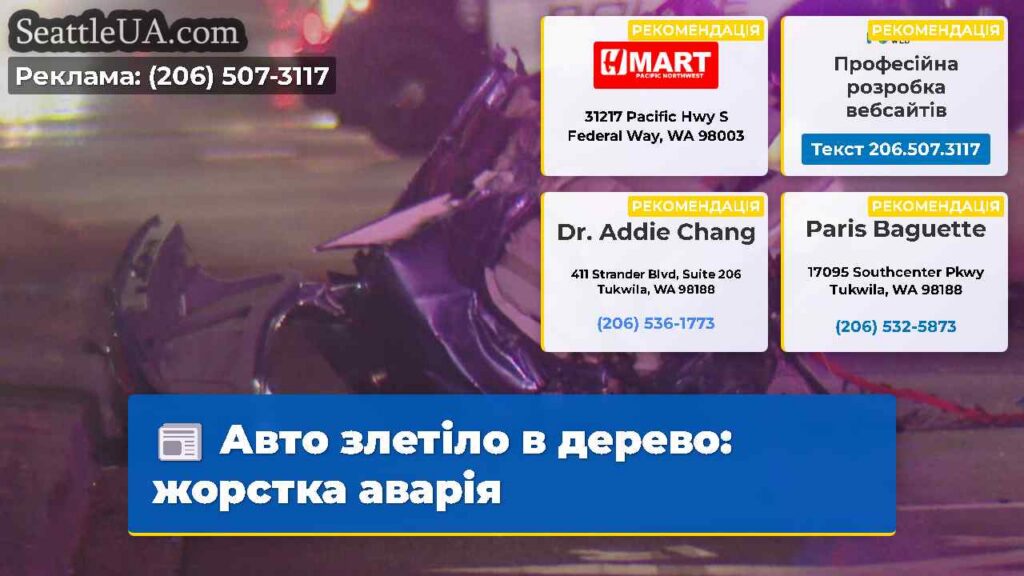 Авто злетіло в дерево: жорстка аварія
