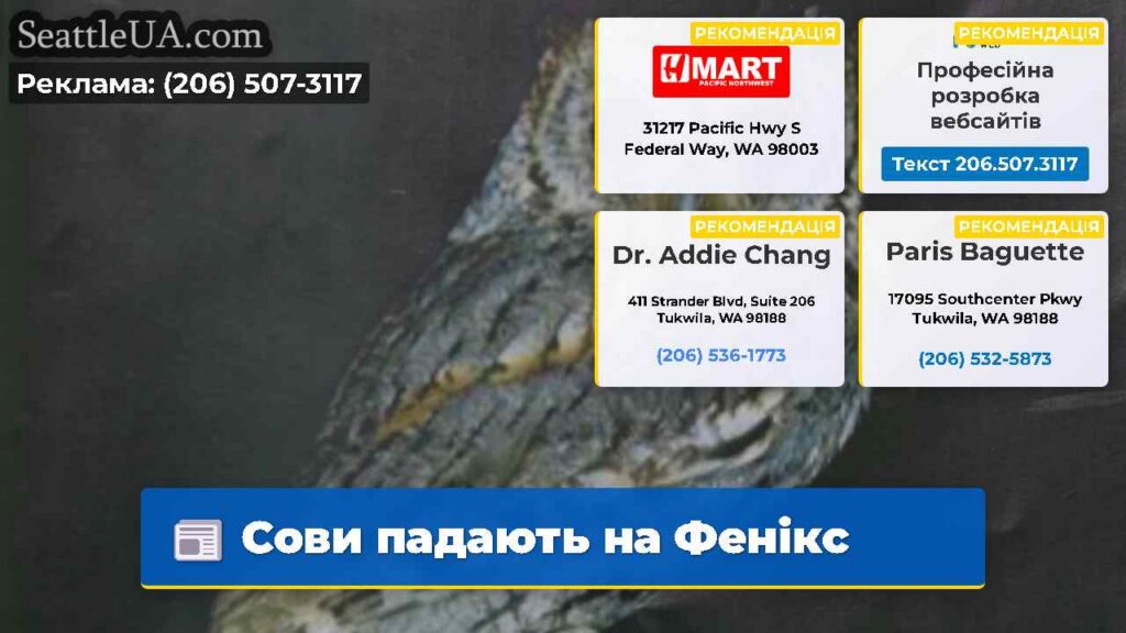 Сови падають на Фенікс