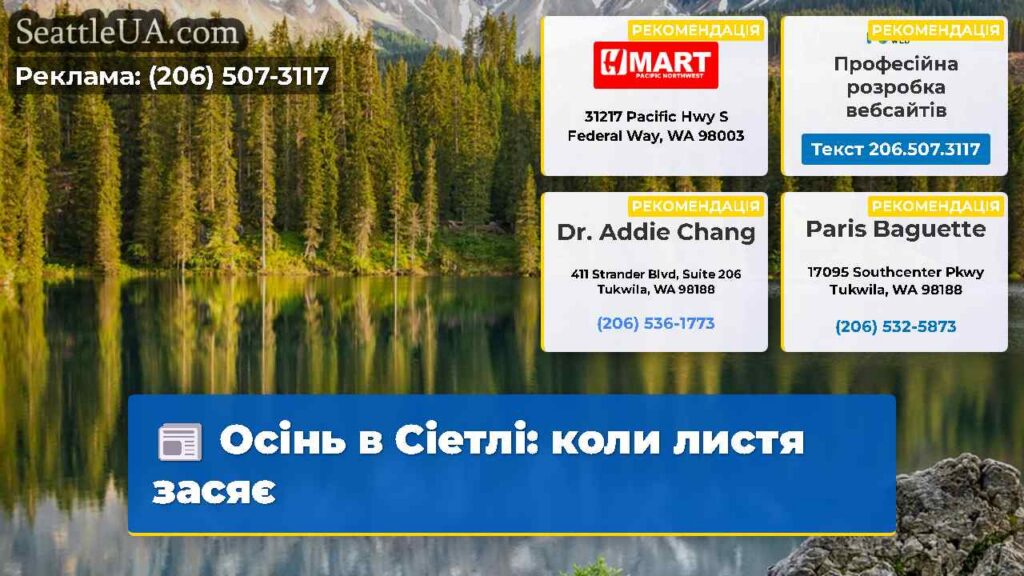 Осінь в Сіетлі: коли листя засяє