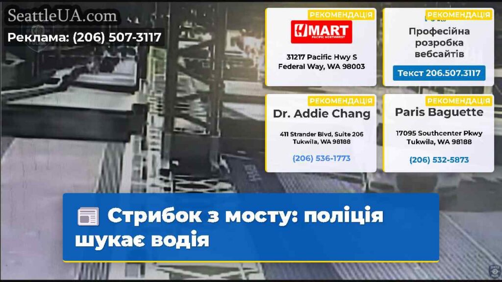 Стрибок з мосту: поліція шукає водія