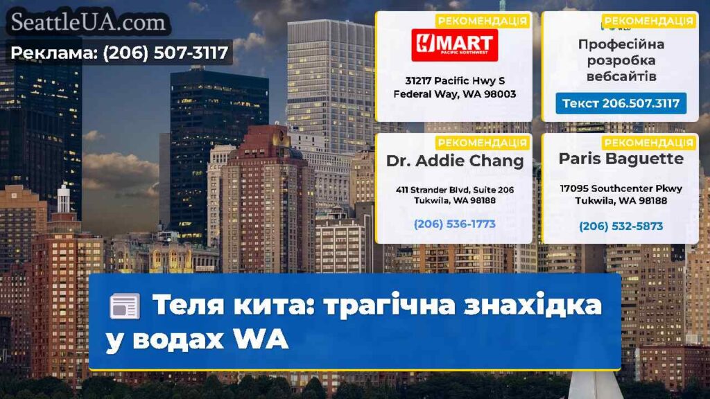 Теля кита: трагічна знахідка у водах WA