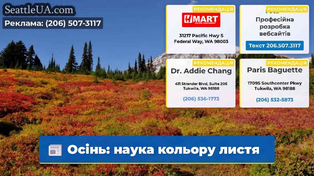 Осінь: наука кольору листя