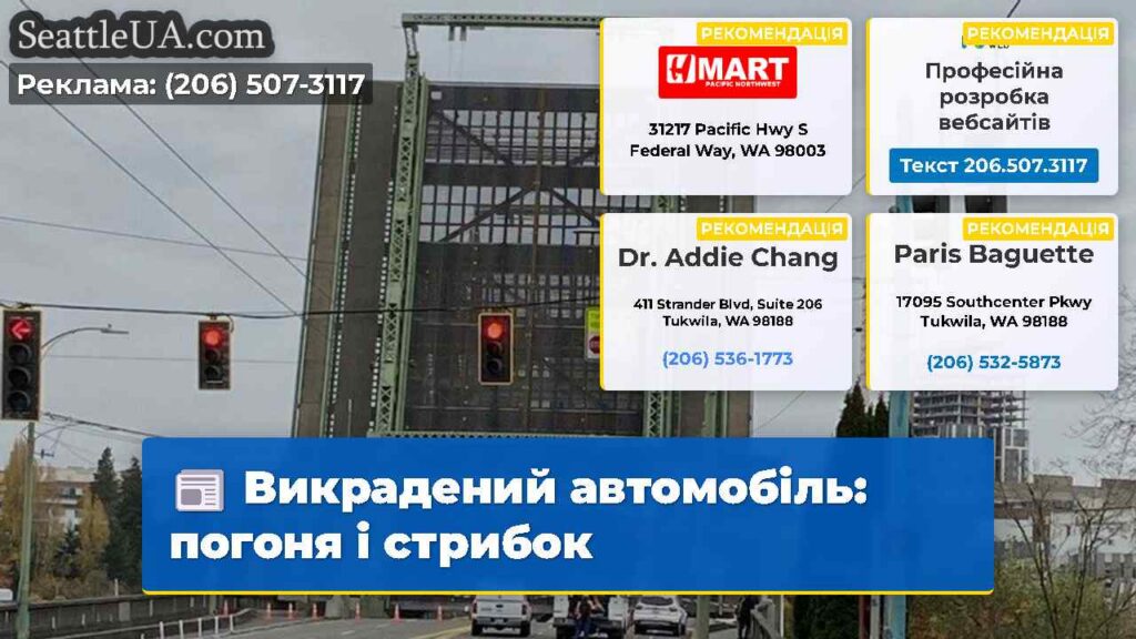 Викрадений автомобіль: погоня і стрибок